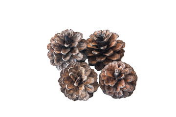 Pine cones isolated on white background with clipping path