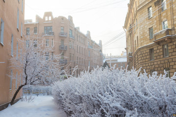 зима в городе санкт-петербурге