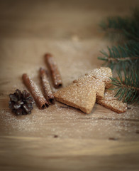 Fototapeta na wymiar cinnamon sticks, cookies and Christmas tree branch but the tabl