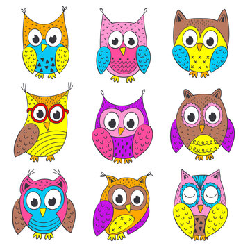 set of isolated funny owls in color - vector illustration, eps
