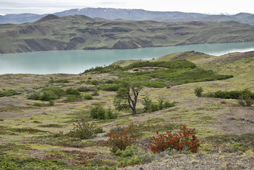 Vista sul lago Pehoe durante il trekking nel parco Torres del Paine