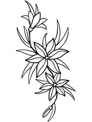 Lilies, flowers with leaves. Line drawing. For coloring