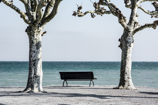 Bench at the lakeside of Lake Constance in Germany in winter