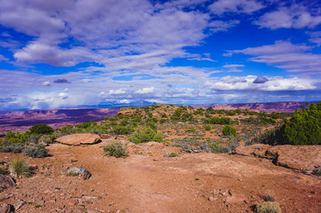 Layers of trees and rocks with mountains in the background
