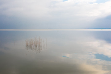 stiller ruhiger see mit einigen Schilfhalmen
