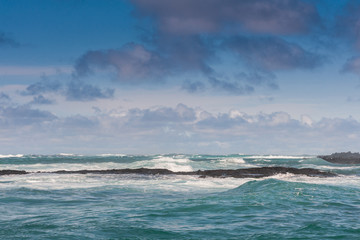 isole galapagos-ecuador