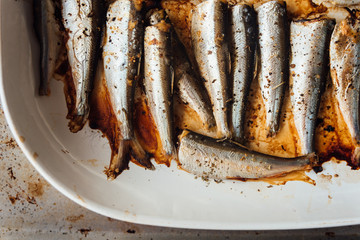 Roasted baltic herring on white plate