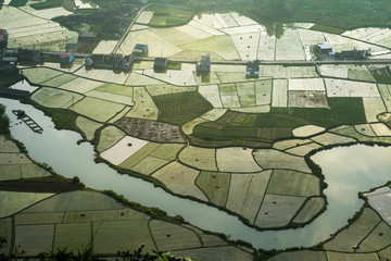 Rice field in Bac Son valley in Vietnam