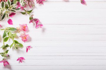 Naklejka na ściany i meble beautiful flowers on white wooden background