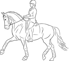 A horsewoman on a horse is doing dressage.