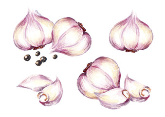 Garlic compositions set. Watercolor hand drawn illustration, isolated on white background