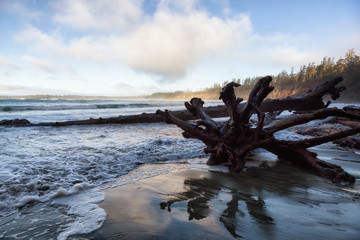 Beautiful seascape view of the sandy beach on the Pacific Ocean Coast during a vibrant winter morning. Taken near Tofino, Vancouver Island, BC, Canada.