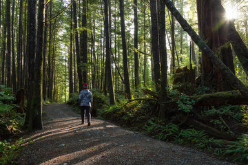 Obraz premium Girl wearing a bright red jacket is walking the the beautiful woods during a vibrant winter morning. Taken in Ucluelet, Vancouver Island, BC, Canada.