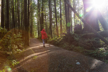 Girl wearing a bright red jacket is walking the the beautiful woods during a vibrant winter morning. Taken in Ucluelet, Vancouver Island, BC, Canada.