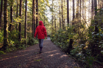 Girl wearing a bright red jacket is walking the the beautiful woods during a vibrant winter morning. Taken in Ucluelet, Vancouver Island, BC, Canada.