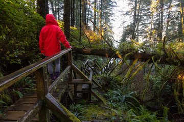 Girl wearing a bright red jacket is walking the the beautiful woods during a vibrant winter morning. Taken in Ucluelet, Vancouver Island, BC, Canada.