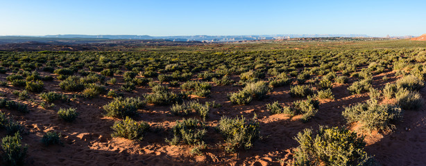 Desert around  Grand Canyon Horseshoe Bend  Page Arizona