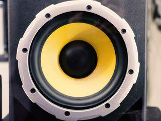 yellow and black loudspeaker with black case