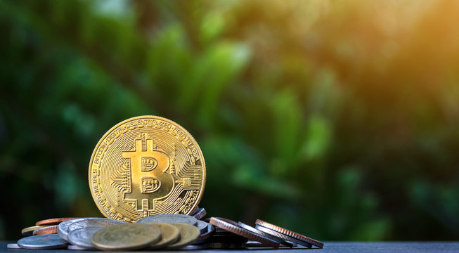 Bitcoin and pile of money on wooden table and nature background.Bitcoin as most important cryptocurrenc