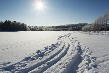 Fototapeta na wymiar Beautiful winter landscape from Finland. Snowy scenery and blue sky with sun shining. Cold temperature, ski tracks on the deep snow. Frosty birch trees and forest.