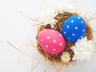 Easter eggs with ribbon and flowers on white background