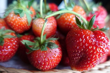 A Ripe strawberries  in the basket, red fruit, plant in countryside farm, feel fresh and sweet, fruit macro photography concept