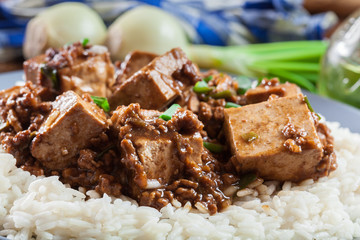 Mapo Tofu - sichuan spicy dish served with rice