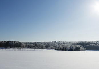 Wintry landscape.
