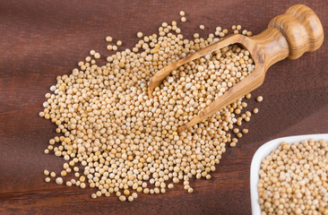 Yellow grain mustard - Sinapis alba