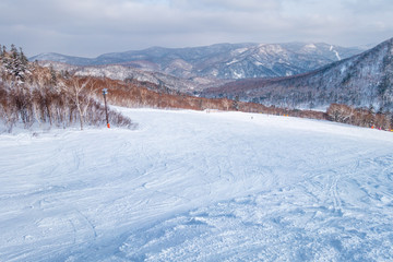 Fototapeta na wymiar 快晴の日のスキー場 / 北海道のスキー場