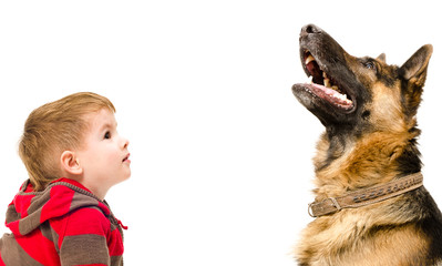 Portrait of German shepherd dog and cute boy, looking up, isolated on white background