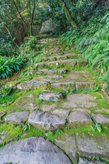 秋の宇和島城の風景