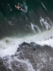 The surfer rides and swims on the board dissecting the waves of the ocean. Deep and boundless ocean. Aerial view with copy space.