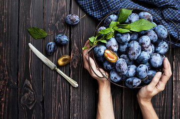 Top view of a woman's hand and garden blue plums in a bowl on a dark rustic wooden background with copy space.