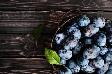 Obraz na płótnie Canvas Garden blue plums in a bowl on a dark rustic wooden background with copy space top view.