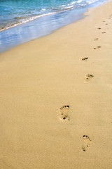 Footprints in the sand on the beach .