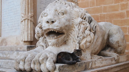 Lion sculpture,an outdoor maltese symbol in Valletta, Malta