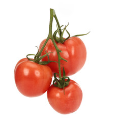 Tomato on white background