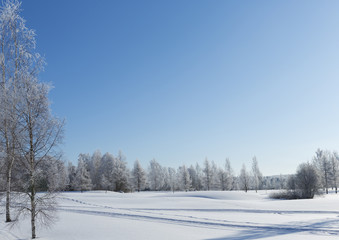 Wintry wallpaper scenery in Finland. Snowy ground and frosty forest. Sunny day with snow. Cold temperature.