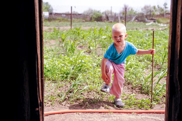 A happy little boy came to the barn with chickens. Sunny summer day.