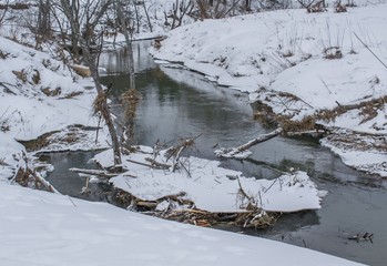 An ice-free river flows through the winter forest