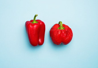 Fresh red Bulgarian pepper and shriveled dried pepper. Fresh pepper, health. Food creative concept. Top view Blue Background Flat Lay with copy space