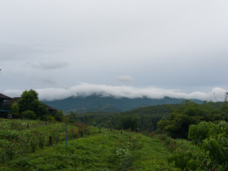 Fototapeta na wymiar Morning Mist over the mountain top