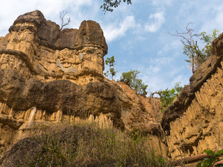 Looking up at the Canyon rock