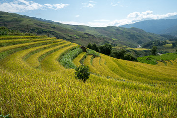 Terraced rice field landscape of Y Ty, Bat Xat district, Lao Cai, north Vietnam