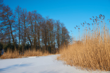 The Beauty of Winter