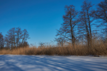 The Beauty of Winter