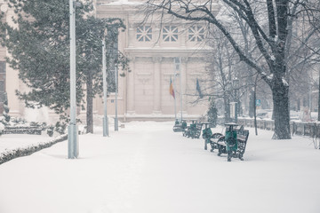 Frozen Benches in the Park