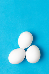 White chicken eggs on blue background.