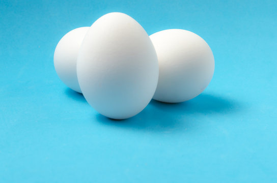White chicken eggs on blue background.